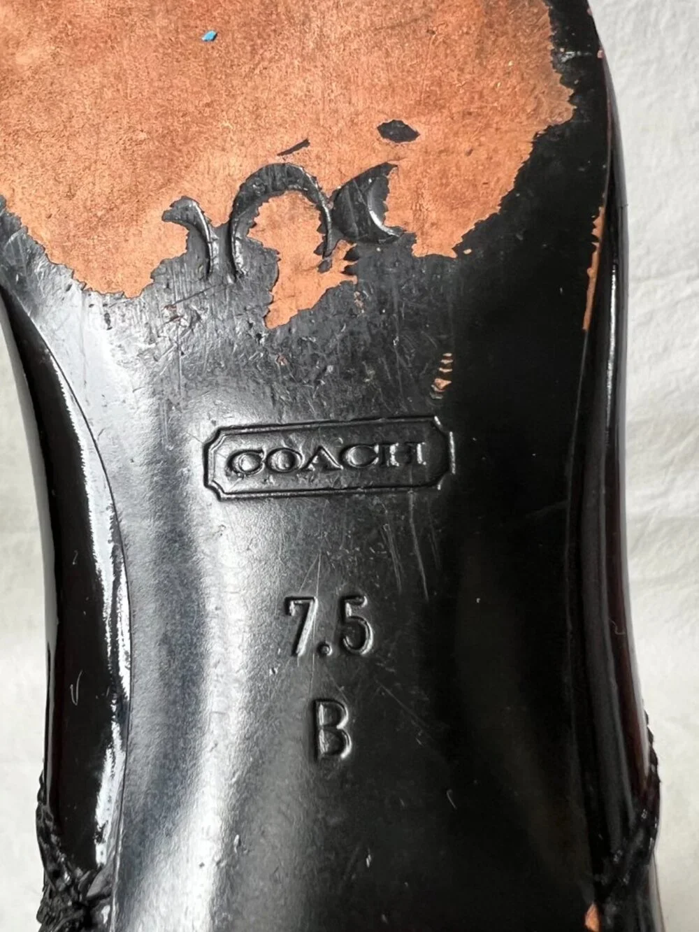 Coach fresna boots